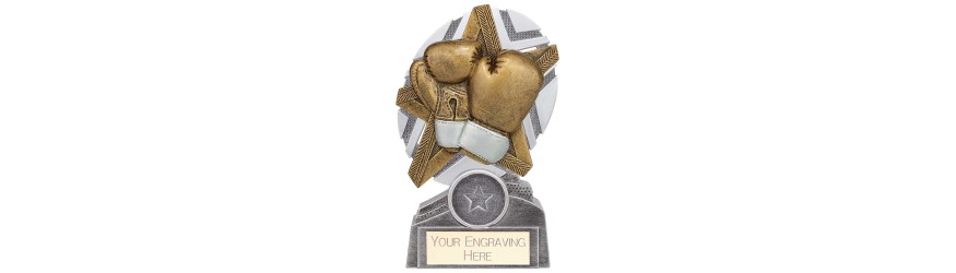 THE STARS BOXING RESIN TROPHY - 3 SIZES - 13CM - 17CM THE STARS BOXING RESIN TROPHY - 3 SIZES - 13CM - 17CM